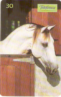 SP-0197M - Andaluz é Inteligência